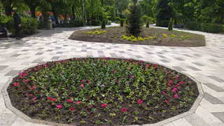 Сорокина заявила, что система уборки города будет пересмотрена и оптимизирована