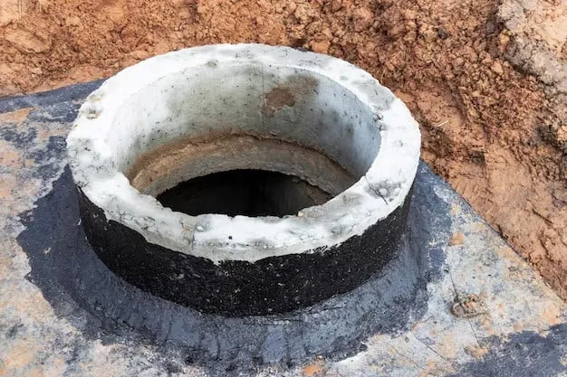 Посадил куст у выгребной ямы — и откачка больше не будет нужна: работает как насос — не растение, а ассенизатор какой-то