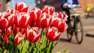 29 июня появилось сразу несколько городов Владимирской области