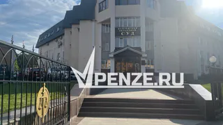 Фейгиной продлили домашний арест до следующего года