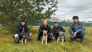 Рязанское управление ФСИН приняло на службу щенков из Перми