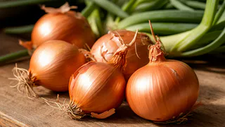 Поливаю рассаду не водой, а настоем из луковой шелухи: сеянцы крепкие и не болеют