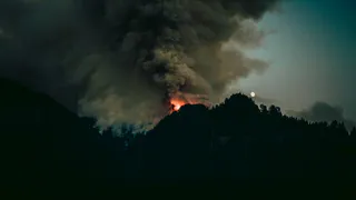 Возбуждено уголовное дело из-за лесных пожаров в Сельцах