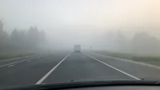 6 октября в Рязанской области ожидается дождь, туман и до +15