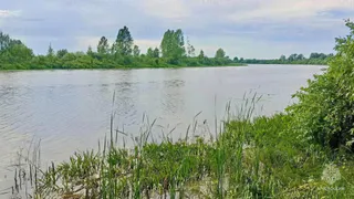 В Чувашии спасатели ищут в пруду тело женщины, катавшейся на лодке и упавшей в воду