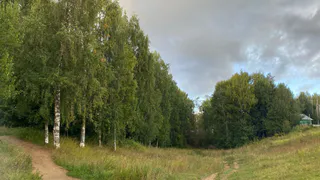 20 сентября принесет в Коми дожди и понижение температуры: осень вступает в права