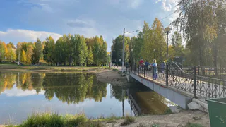 С 17 июня будет полностью запрещён отдых на природе: любителям чистого воздуха придётся поискать другие места