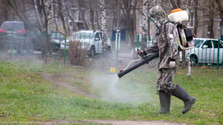 Не только дезинфекция: рязанские парки обработают против клещей