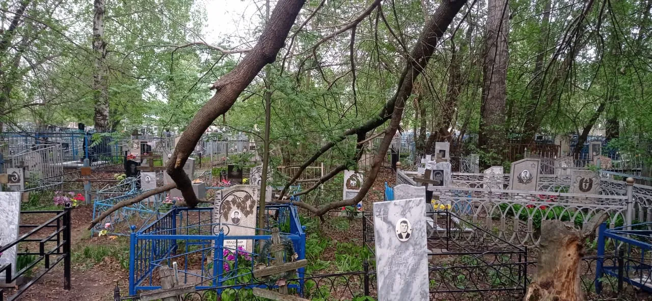 «Сломанные деревья падают прямо на памятники»