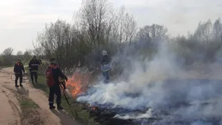 Во Владимирской области случился пожар в результате намеренного поджога растительности