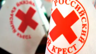 Брянское отделение Российского Красного Креста обучит активистов Движения Первых.