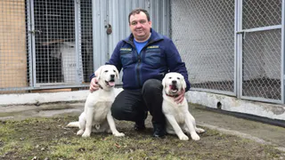 Рязанских лабрадоров отправили в Ростов учиться искать снаряды и людей