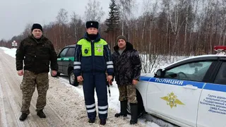 Лесная охрана Чувашии рассказала об итогах мероприятий по сохранению елок