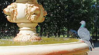 Поступили новые данные. Вильфанд резко обновил прогноз на август - будут аномальные температуры и жара