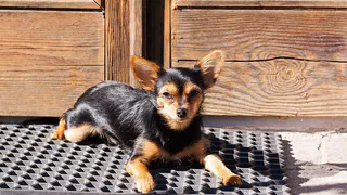 Как эффективно удалить следы зимних реагентов с автомобильных ковриков