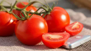Помидоры лопаются от сладости: подкармливаю их одной таблеткой, которую всегда ношу с собой в сумочке