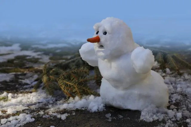 Тепленькая пошла: русская зима уходит из России