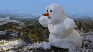 Тепленькая пошла: русская зима уходит из России