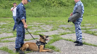 Сотрудники Госавтоинспекции провели обучение детей дорожной безопасности