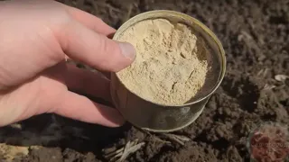 Лучше навоза и биогумуса — этот порошок содержит половину таблицы Менделеева: посыпаем грядки в мае