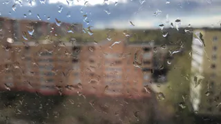 Берите зонт: сегодня в Рязани дожди