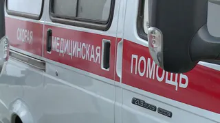 На улице Почтовой в Брянске легковушка сбила школьницу-нарушительницу