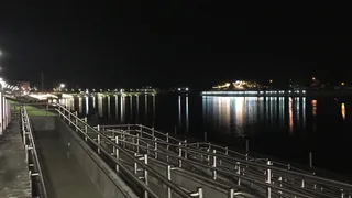 В Рязанской области усилили контроль за строительством моста через Оку