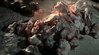 Жителей Магнитогорска задержали во время незаконной охоты на диких кабанов