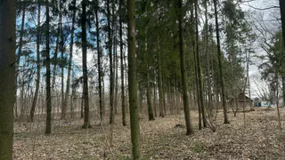 В Окском заповеднике Рязани из спячки вышел бурый медведь