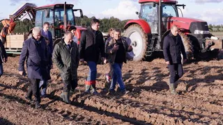 У брянской говядины калининградская родословная