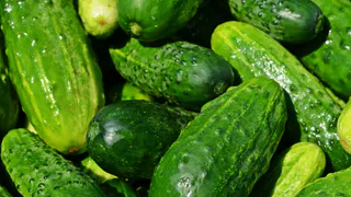 С пяти кустов — огурцов на всю родню: метод посадки с бутылками и яичной скорлупой удивит урожаем 