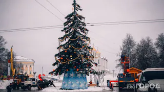 В Коми решили купить новую елку и светящийся купол