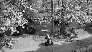 Следком РФ заинтересовался случаем наезда электросамоката на ребёнка в Гусь-Хрустальном