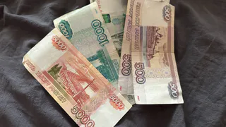 В Чебоксарах задержали мошенника из Подмосковья