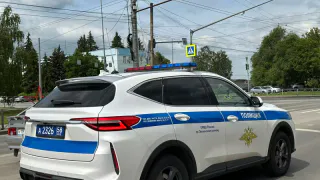 В Рязанской области в результате ДТП погибло животное