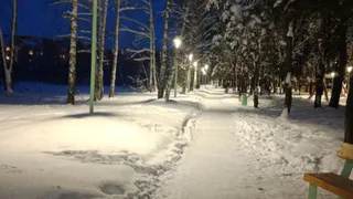 В Пензе 28 февраля ожидаются снег и дождь при морозе