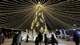 Как Коми готовится к Новому 2025 году: яркие ёлки и снежные фигуры