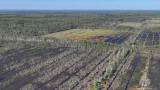 МЧС во Владимирской области проводит мониторинг торфяников для выявления пожаров