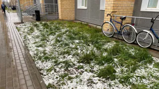 Холода возвращаются: Гидрометцентр сообщает о морозах и мокром снеге с 29 июня