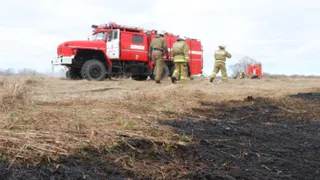 МЧС предупреждает жителей Рязани о крупных штрафах за разведение костров