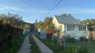 Узнал, почему некоторые жители деревень не хотят видеть у себя городских – веский повод