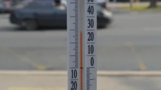 Рязанцев попросили не ходить в леса из-за жары