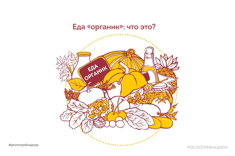 Что такое еда «органик»?