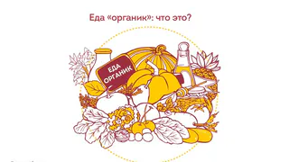 Что такое еда «органик»?