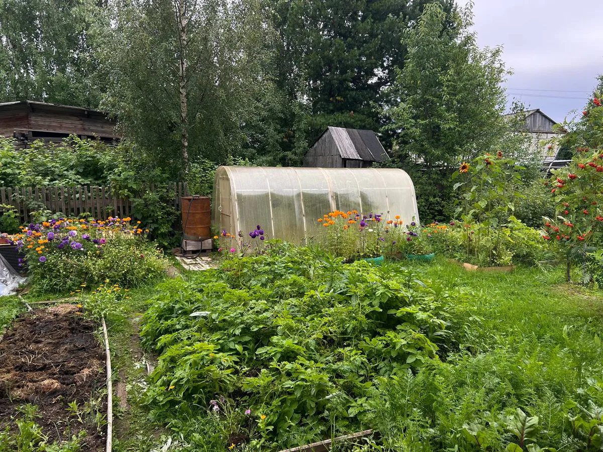 Осторожно, навоз: популярное удобрение оказалось опасным для вашего огорода