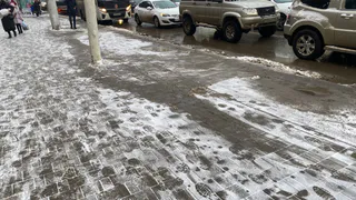 Полная отмена зимы: синоптик Роман Вильфанд рассказал стоит ли ждать снег на Новый год