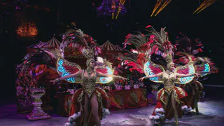 «Эстетика в каждом номере»: в Рязань приехал настоящий королевский цирк!