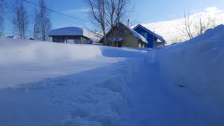 Сыктывкарских дачников заставляют платить за воздух?