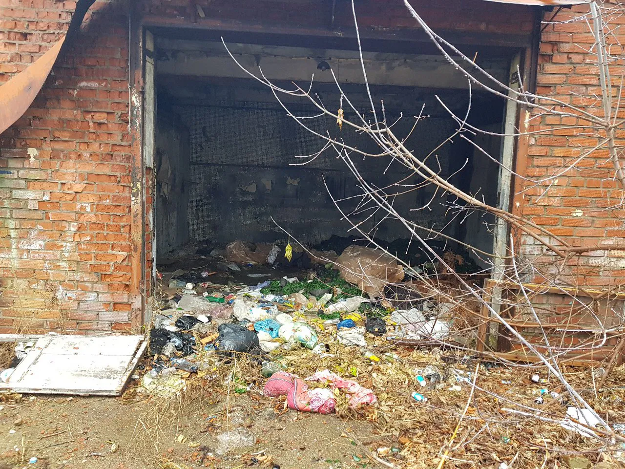 Гость Нижнекамска: "Нас шокировала свалка в центре города"