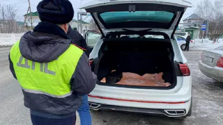 С 12 февраля будут лишать прав на полгода: ГИБДД будет искать всего один предмет в багажнике